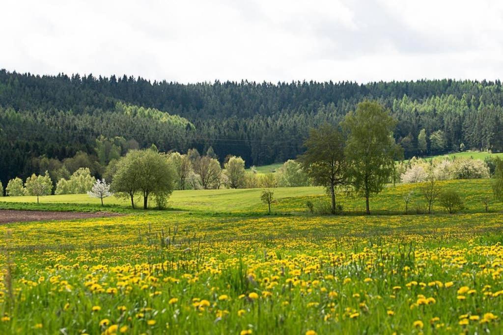 Gaestehaus Kohlberg Kohlberg  Exteriér fotografie
