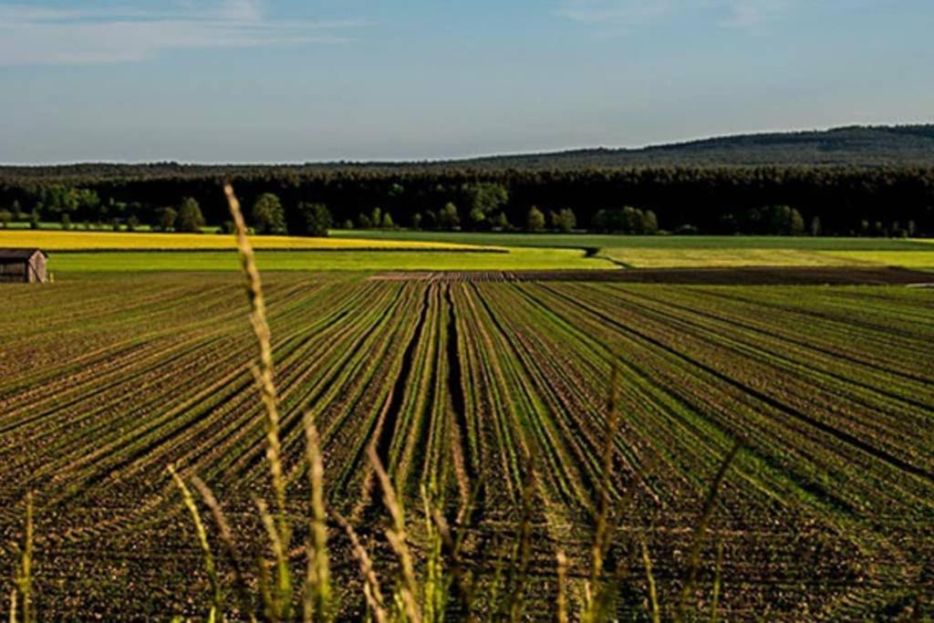 Gaestehaus Kohlberg Kohlberg  Exteriér fotografie